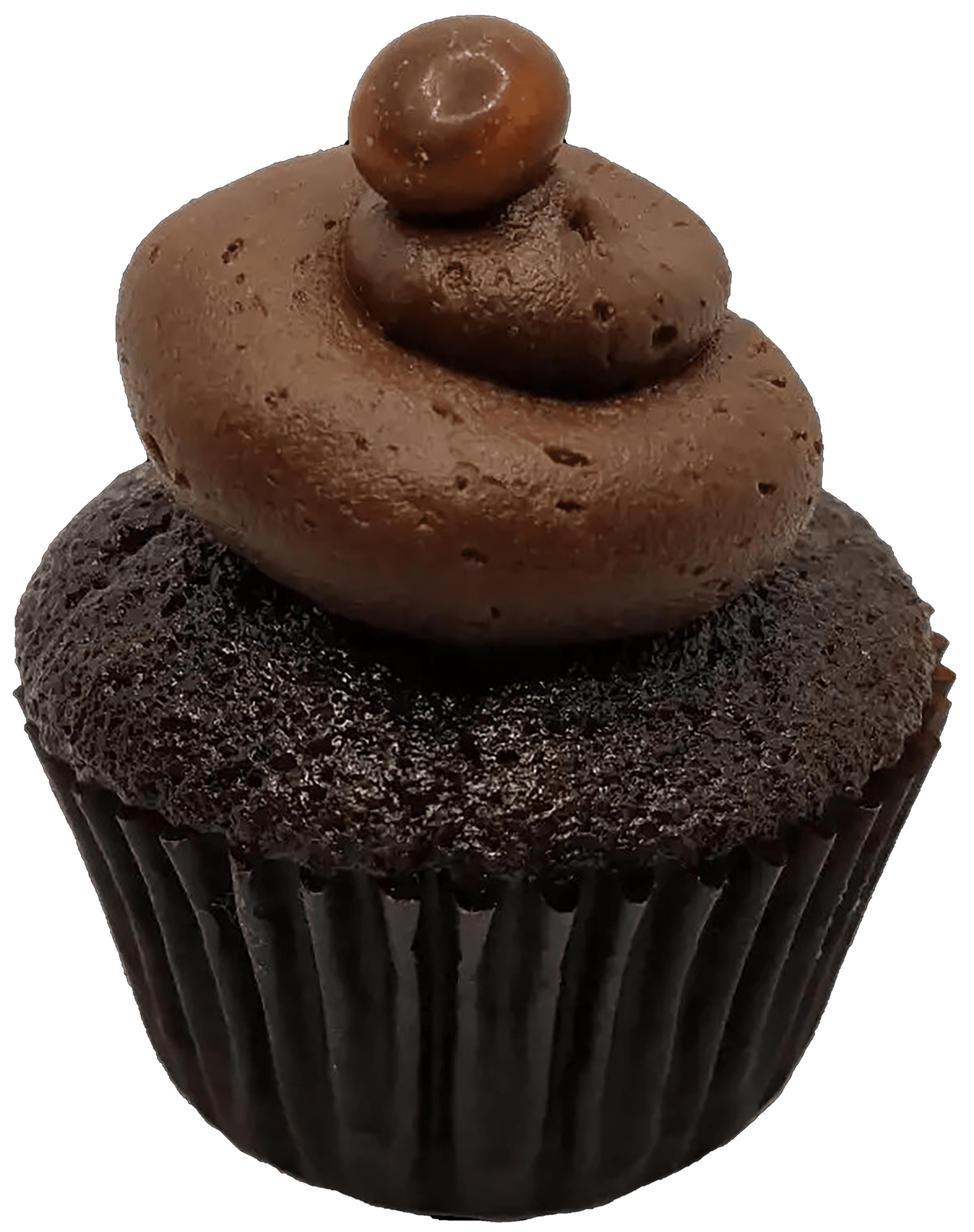 Choco Choco Cupcake